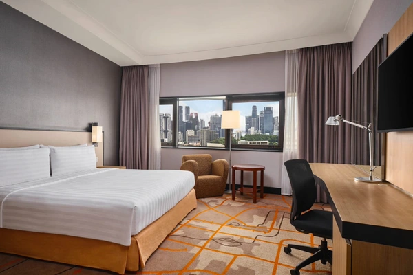 King Standard City View Lounge Access